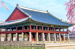 4D3N SPRING-AUTUMN TOUR