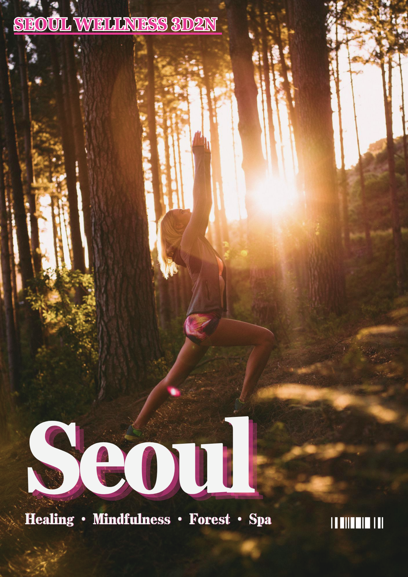 3. 서울 웰빙 투어
